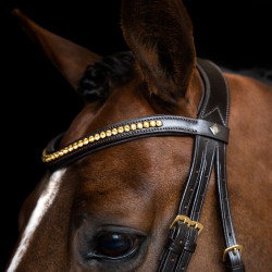 Brida Imperial Riding combinada simple Castaño Marr&amp;amp;amp;oacute;n
