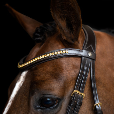 Brida Imperial Riding combinada simple Castaño Marr&amp;amp;amp;oacute;n
