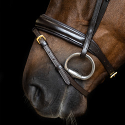 Brida Imperial Riding combinada simple Castaño Marr&amp;amp;amp;oacute;n
