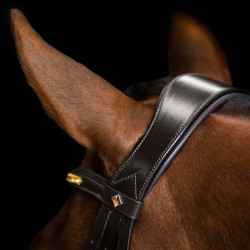 Brida Imperial Riding combinada simple Castaño Marr&amp;amp;amp;oacute;n