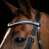 Brida Imperial Riding combinada simple Castaño Marr&amp;amp;amp;oacute;n