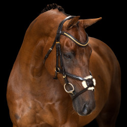 Brida con muserola mexicana Imperial Riding Marrón oscuro Marrón Brida con muserola mexicana Imperial Riding Marrón oscuro Marrón