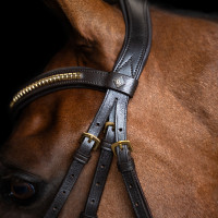 Brida con muserola mexicana Imperial Riding Negro