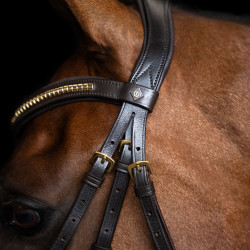 Brida con muserola mexicana Imperial Riding Marrón oscuro Marrón Brida con muserola mexicana Imperial Riding Marrón oscuro Marrón