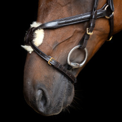 Brida con muserola mexicana Imperial Riding Marrón oscuro Marrón Brida con muserola mexicana Imperial Riding Marrón oscuro Marrón