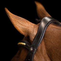 Brida con muserola mexicana Imperial Riding Marrón oscuro Marrón Brida con muserola mexicana Imperial Riding Marrón oscuro Marrón