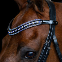 Frontal Imperial Riding Maxima Zafiro Azul