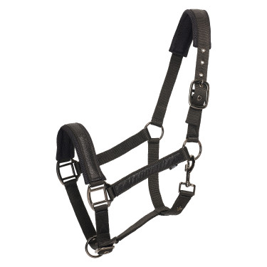 Cabezada HV Polo Katy Negro