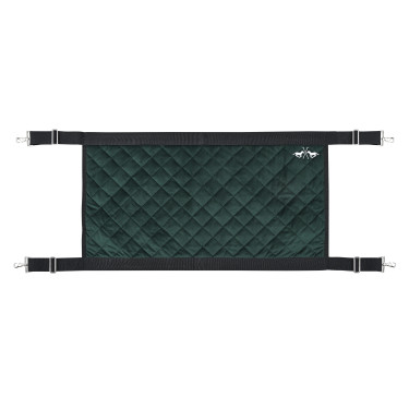 Puerta de box HV Polo Nena Verde pato
