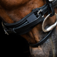 Protector de muserola Imperial Riding Mesh Negro