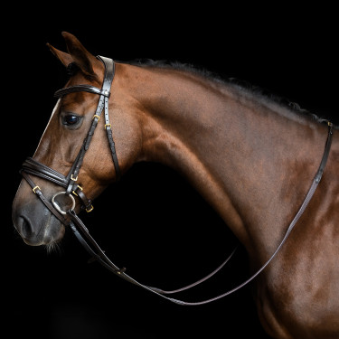 Riendas Imperial Riding de goma con tachuelas Marrón oscuro Marr&amp;amp;amp;oacute;n