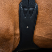 Cincha de salto Imperial Riding anatómica con hebillas de rodillo Negro