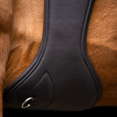 Cincha de salto Imperial Riding anatómica con hebillas de rodillo Marrón oscuro Marrón Cincha de salto Imperial Riding anatómica con hebillas de rodillo Marrón oscuro Marrón