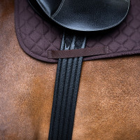 Cinchón de salto Imperial Riding Basic Negro