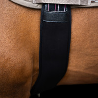 Cinchón de salto Imperial Riding Basic anatómico de neopreno Negro