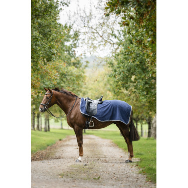 Cubre-ríñones Horseware Rambo polar impermeable Marino / tormenta / gris plateado Azul marino Cubre-ríñones Horseware Rambo polar impermeable Marino / tormenta / gris plateado Azul marino