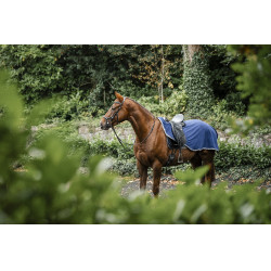 Cubre-ríñones Horseware Rambo polar impermeable Marino / tormenta / gris plateado Azul marino Cubre-ríñones Horseware Rambo polar impermeable Marino / tormenta / gris plateado Azul marino