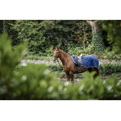 Cubre-ríñones Horseware Rambo polar impermeable Marino / tormenta / gris plateado Azul marino Cubre-ríñones Horseware Rambo polar impermeable Marino / tormenta / gris plateado Azul marino