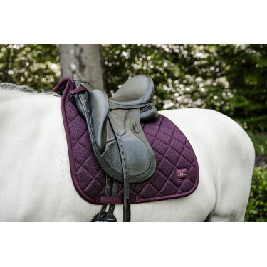 Mantilla de doma Horseware AA Performance Primatova Violeta Mantilla de doma Horseware AA Performance Primatova Violeta