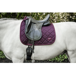Mantilla de doma Horseware AA Performance Primatova Violeta Mantilla de doma Horseware AA Performance Primatova Violeta