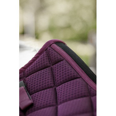 Mantilla de doma Horseware AA Performance Primatova Violeta Mantilla de doma Horseware AA Performance Primatova Violeta
