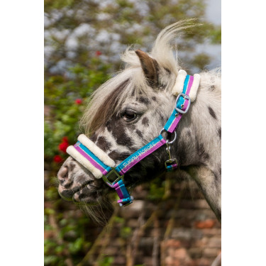 Cabezada Funny Horses HKM Violeta / aqua / plata