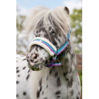 Cabezada Funny Horses HKM Violeta / aqua / plata