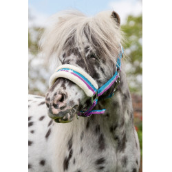 Cabezada Funny Horses HKM Violeta / aqua / plata