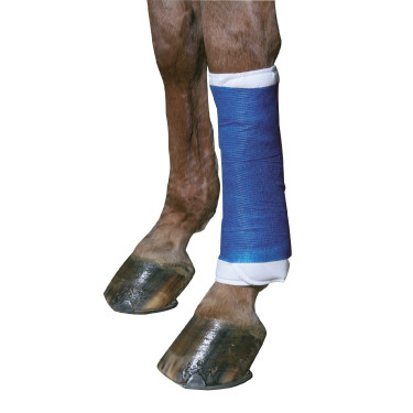 Venda adhésiva EquiLASTIC Azul