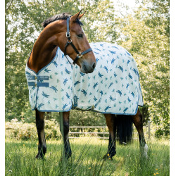 Camisa anti-moscas Horseware Amigo Bug Rug XL Plus Motivo libélula / plata / azul / salvia Motifs Camisa anti-moscas Horseware Amigo Bug Rug XL Plus Motivo libélula / plata / azul / salvia Motifs