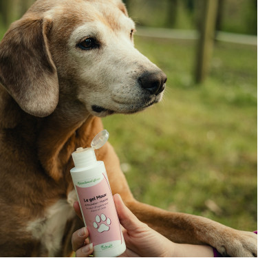 Gel Mouv Nutragile Perro y gato