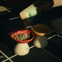 Arcilla alimentaria + Nutragile