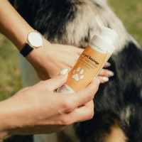 Gel calmante Nutragile para perro y gato