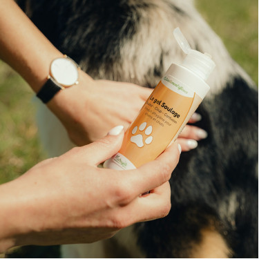 Gel calmante Nutragile para perro y gato