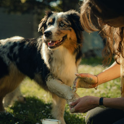 Cataplasma de arcilla Nutragile para perro y gato