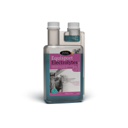 equisport electrolitos Horse Master