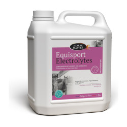 equisport electrolitos Horse Master