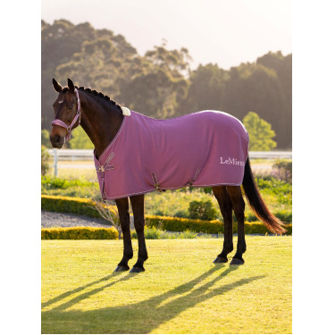 Camiseta secante de bambú Kudos LeMieux Malva Violeta Camiseta secante de bambú Kudos LeMieux Malva Violeta