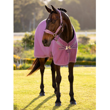 Camiseta secante de bambú Kudos LeMieux Malva Violeta Camiseta secante de bambú Kudos LeMieux Malva Violeta