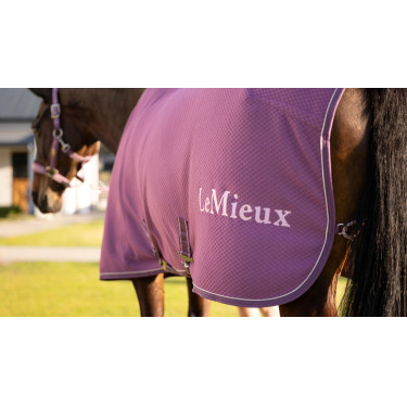 Camiseta secante de bambú Kudos LeMieux Malva Violeta Camiseta secante de bambú Kudos LeMieux Malva Violeta