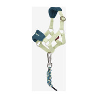 Cabestro de moda para juguete Mini Poni LeMieux Macarrón Verde