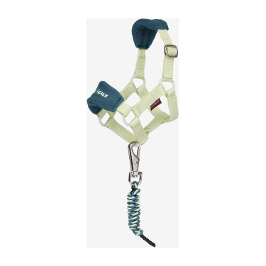 Cabestro de moda para juguete Mini Poni LeMieux Macarrón Verde