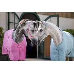 Overhemd Bucas Freedom Twill