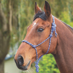 Cabezada etologica Control Shires marine/blanc Azul