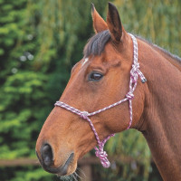 Cabezada etologica Control Shires Rosa / negro
