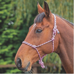 Cabezada etologica Control Shires Rosa / negro