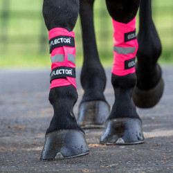 Polainas reflectantes Equi-Flector® Shires Rosa
