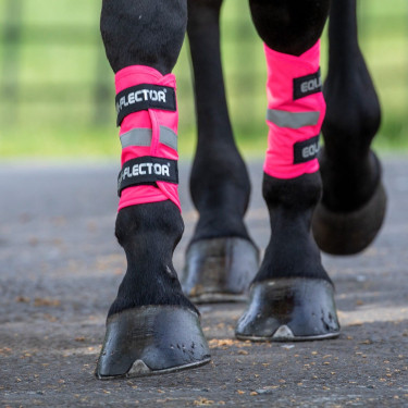 Polainas reflectantes Equi-Flector® Shires Rosa