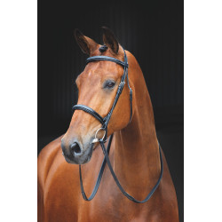 Cabezada Fairford Salisbury Shires