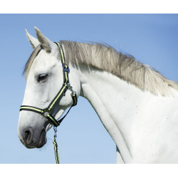 Cabezada Hippo Covalliero Antracita / limón Gris